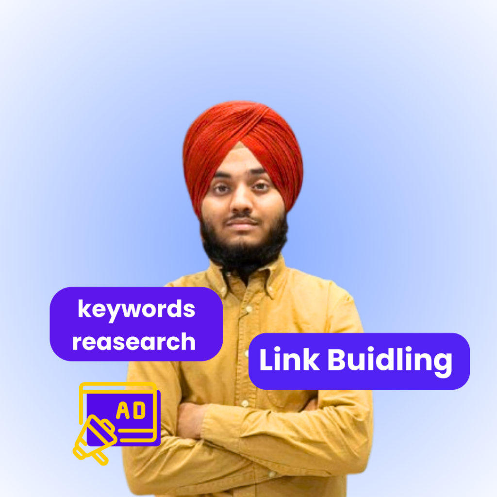SEO Services in Ludhiana